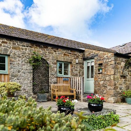 Cwm Connell Coastal Cottages Moylgrove Exterior foto